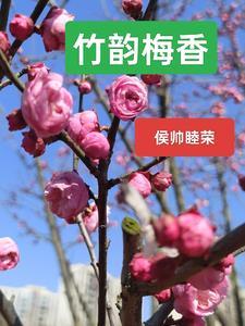 神都猛虎笔趣阁