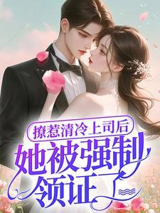 抢来的老婆就是香港人