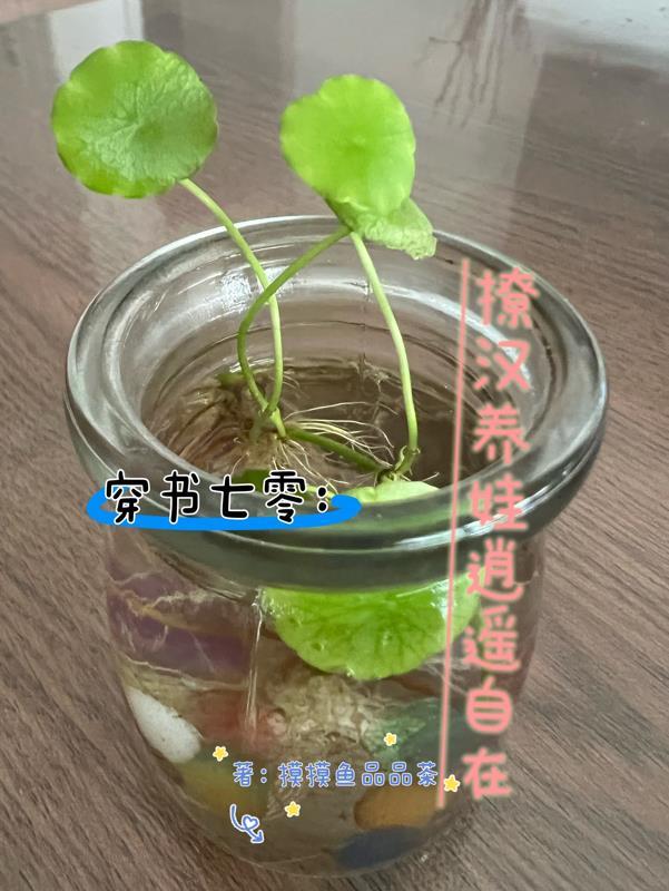 木叶之神