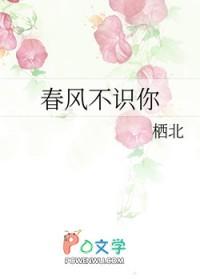 征途08版仙战