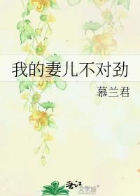 穷则莱茵钢铁!清炖莲子羹