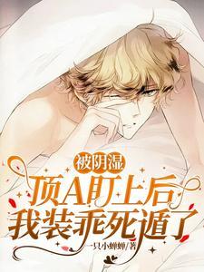 顶级赘婿免费阅读