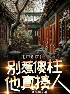 清穿之和亲王侧福晋